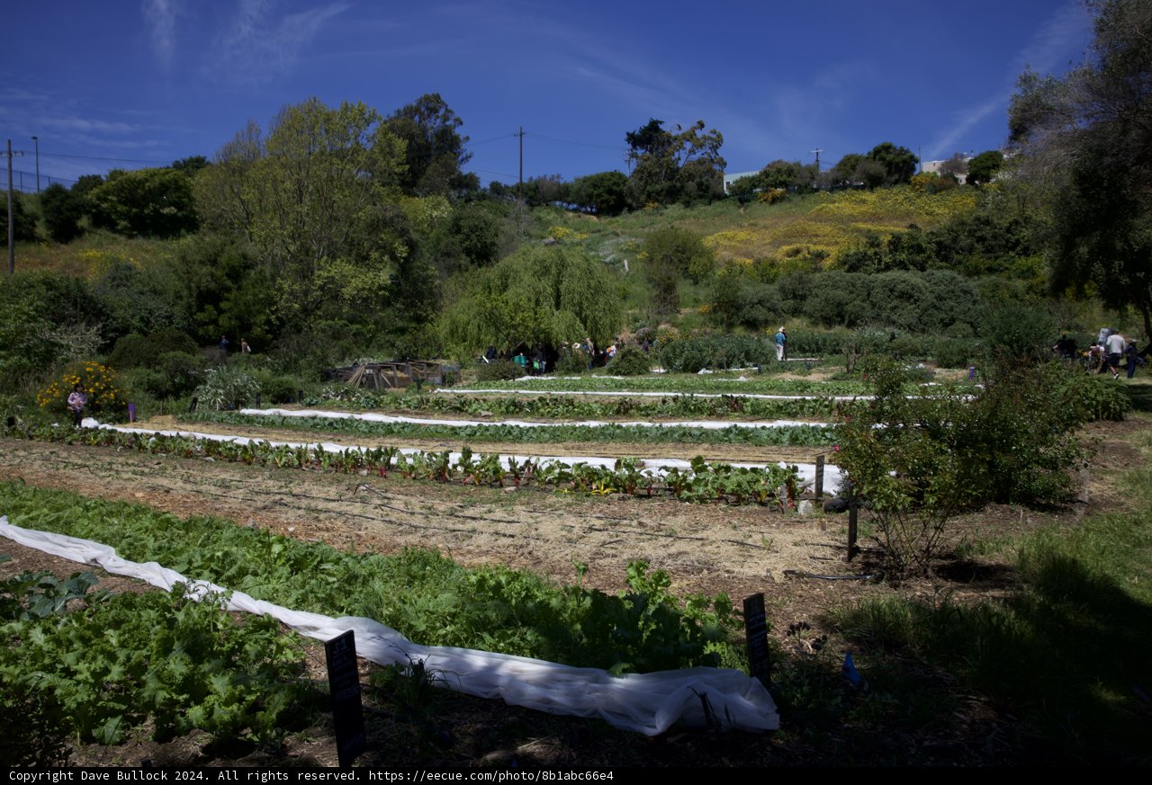 Earth Day 2024: Alemany Farm in Bloom