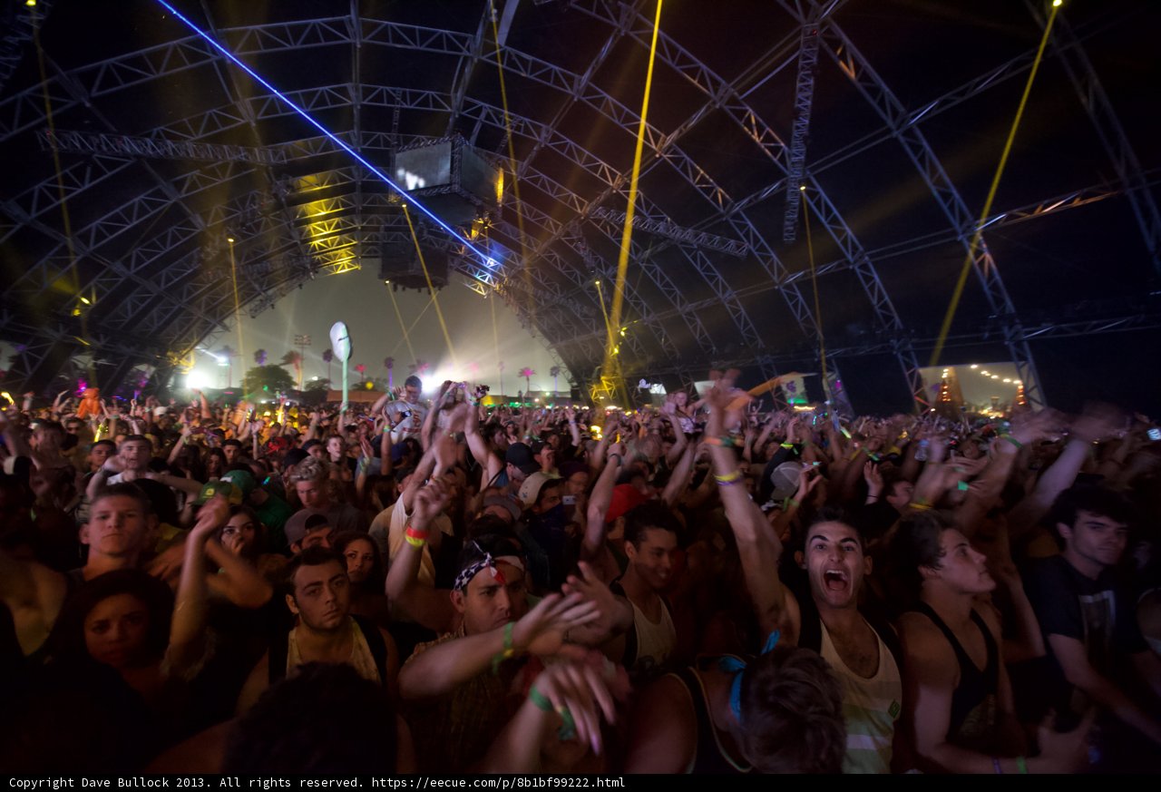Coachella Nights