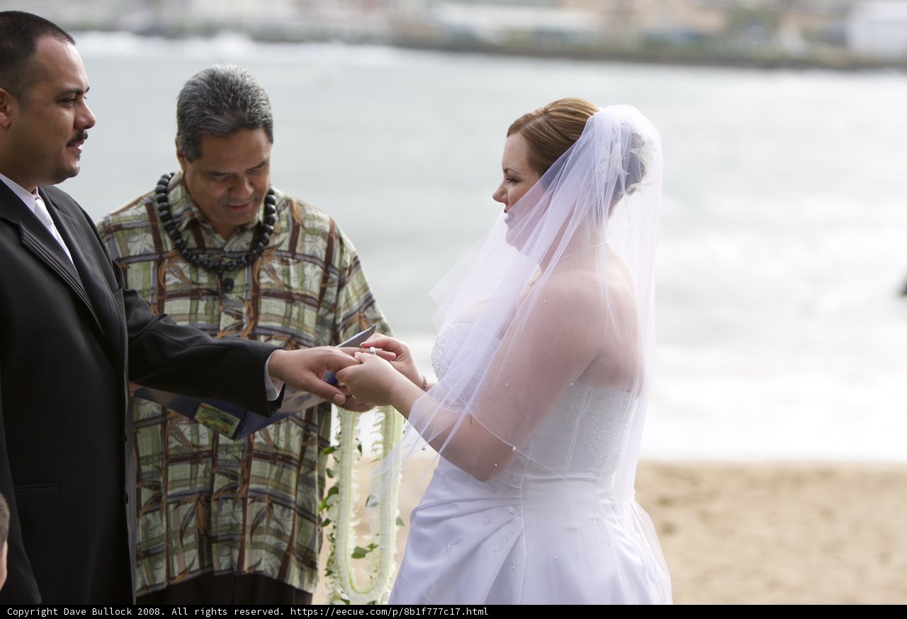 Beach Wedding Bliss