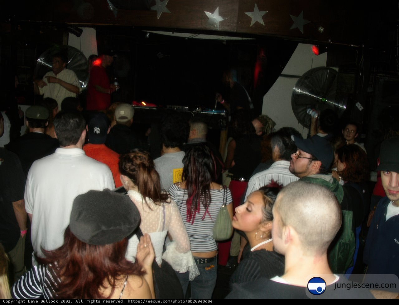 Nightclub Crowd