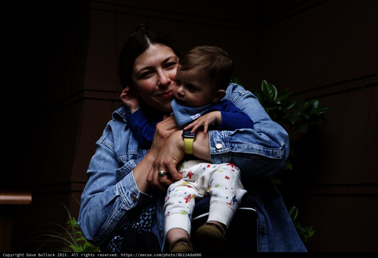 Cherished Moments at Disneyland