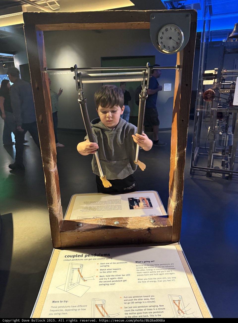 Exploring the Wonders of Motion