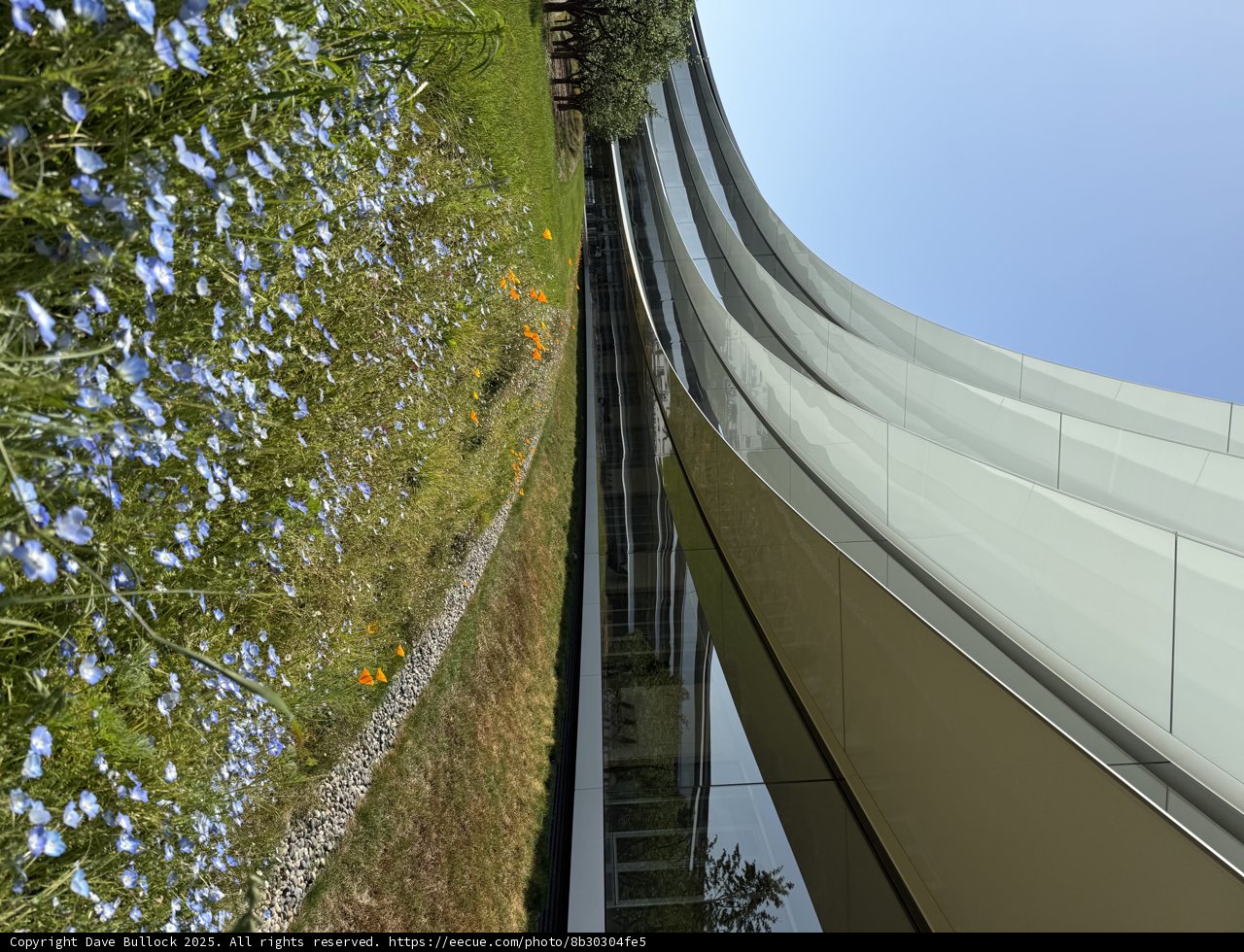 Harmony of Nature and Innovation
