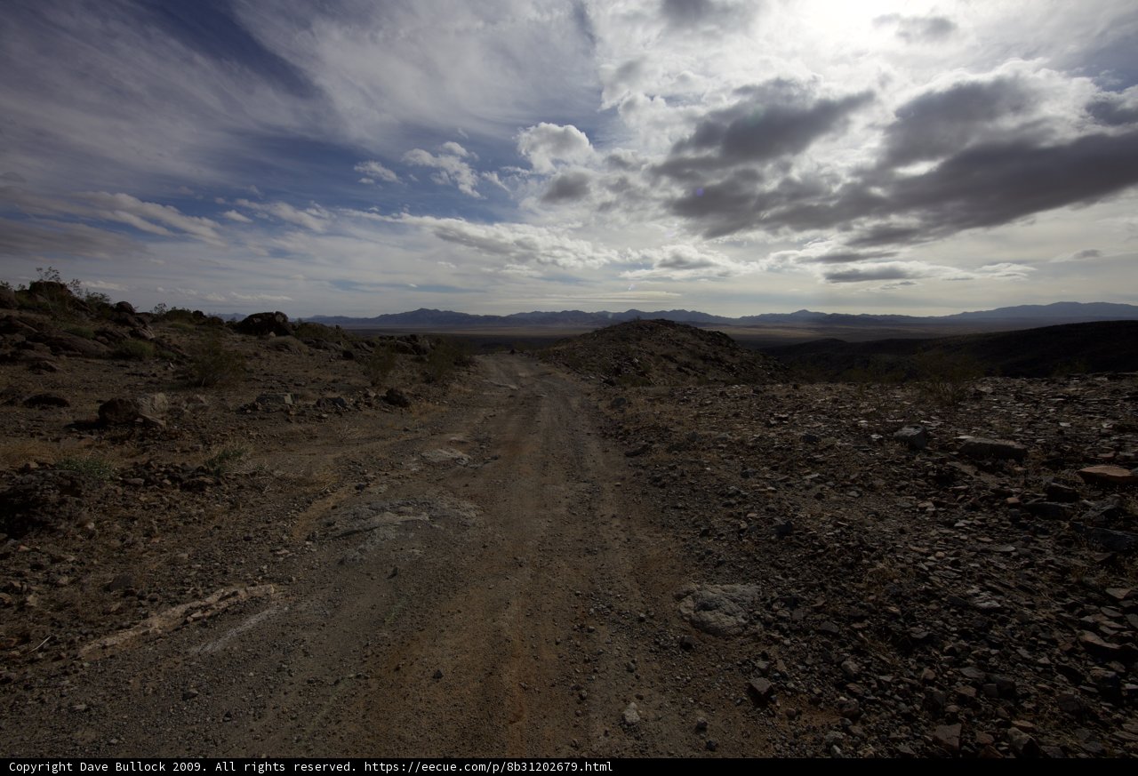 Scenic Drive Through Joshua Tree