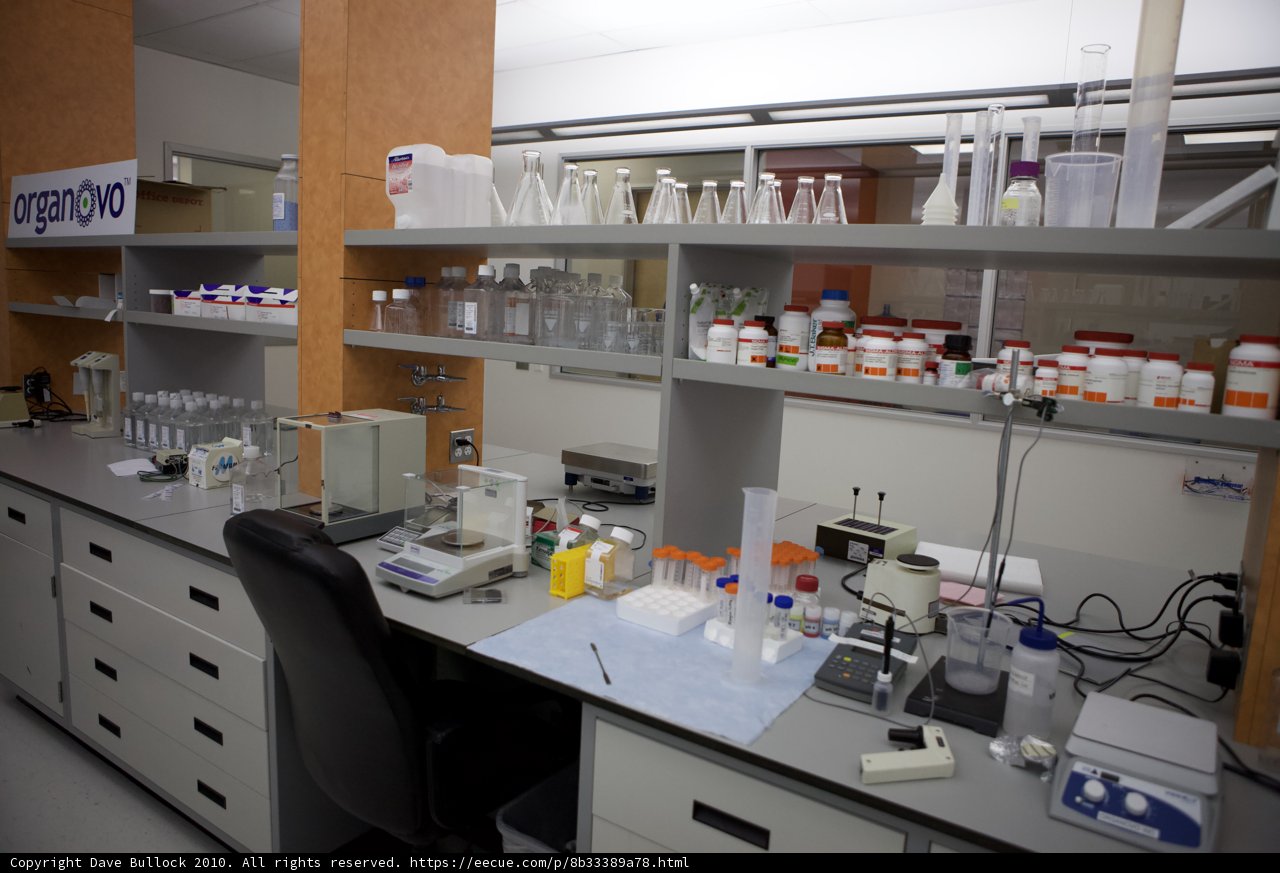 Well-Stocked Lab