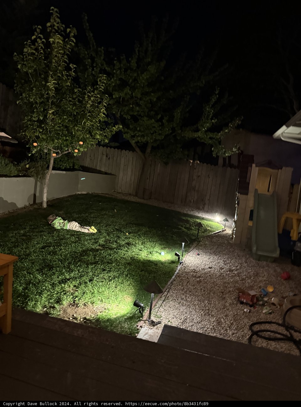 Evening in the Backyard