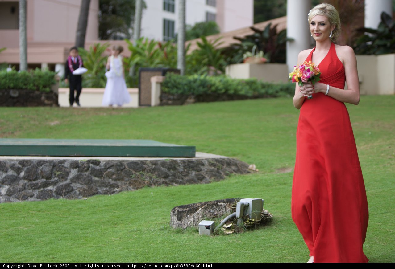 Red Dress on a Grassy Meadow