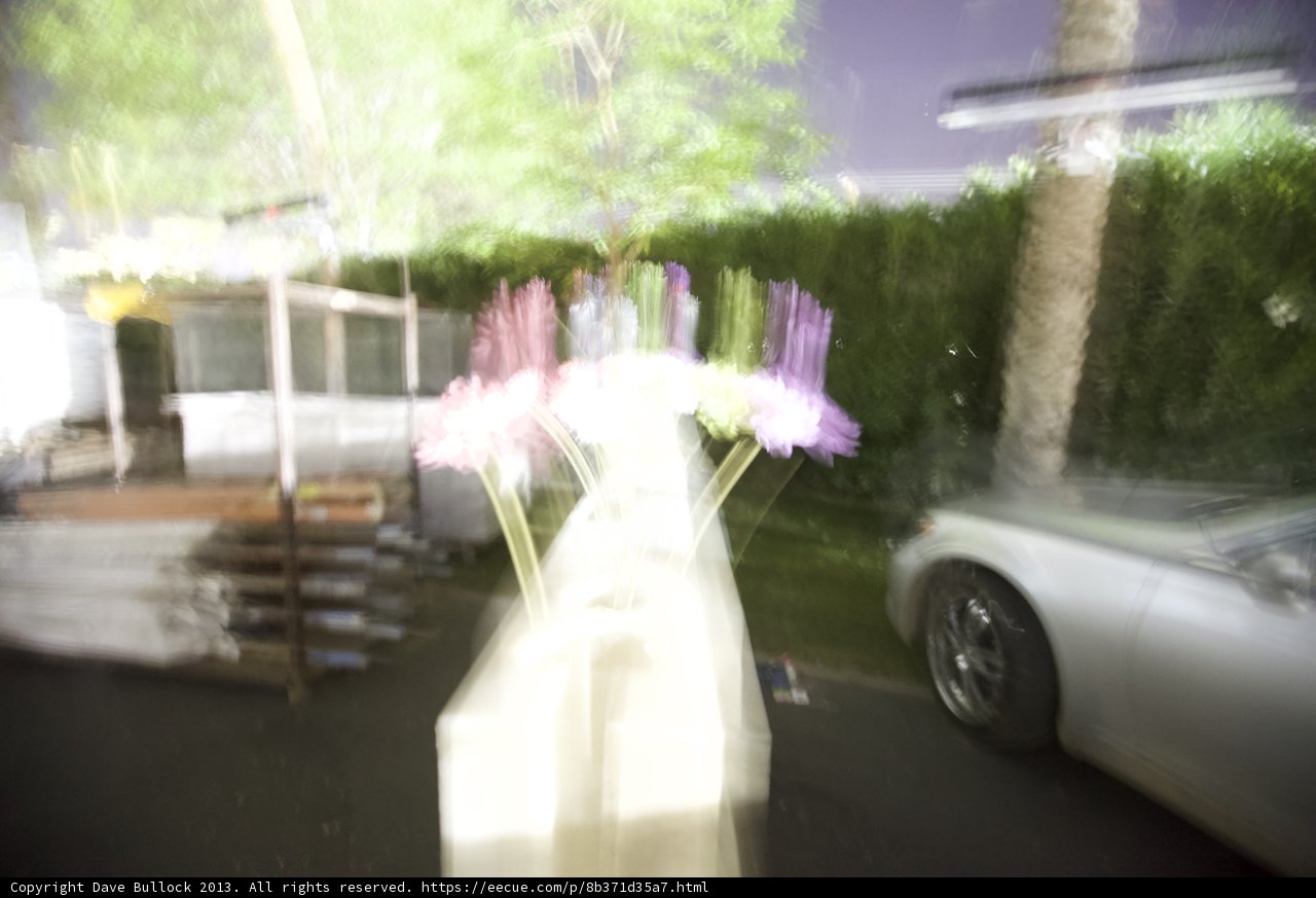 Floral Beauty and the Car Machine