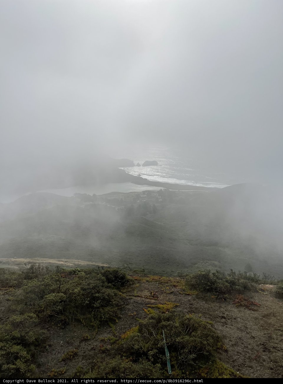 Misty Mountains and Ocean View