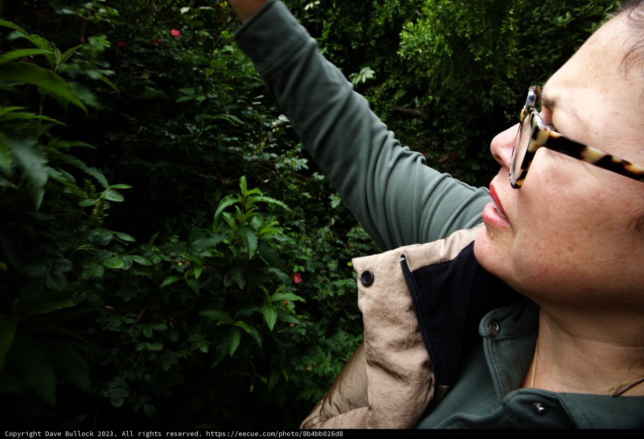 Herbal Haven: A Day at the Botanical Garden