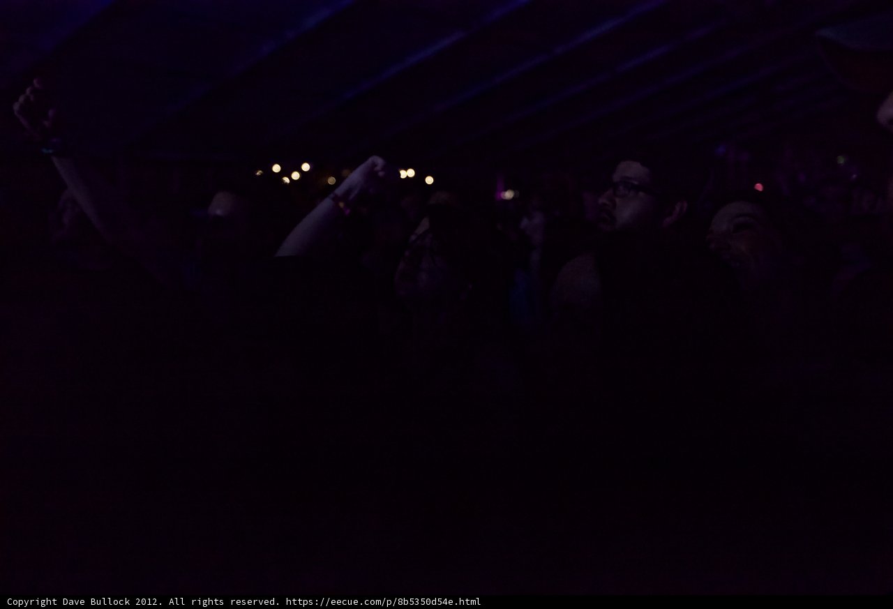 Coachella Crowd Frenzy