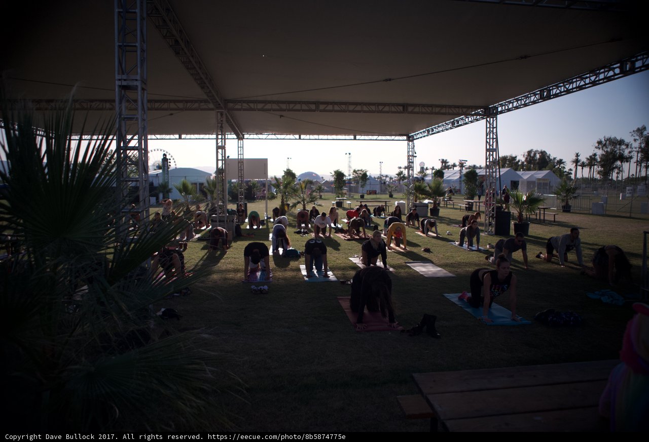 Summer Yoga in the Park