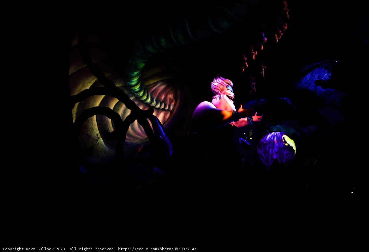 Enchanting Purple Hues at Disneyland