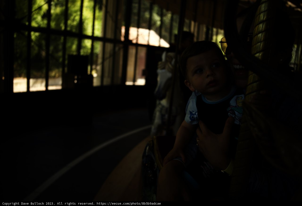 Golden Gate Carousel Adventure, Summer 2023