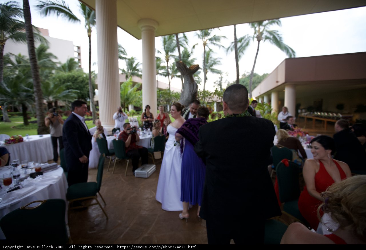 Melissa's Dream Wedding in Maui