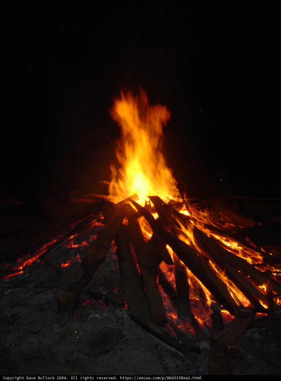 Igniting the Night