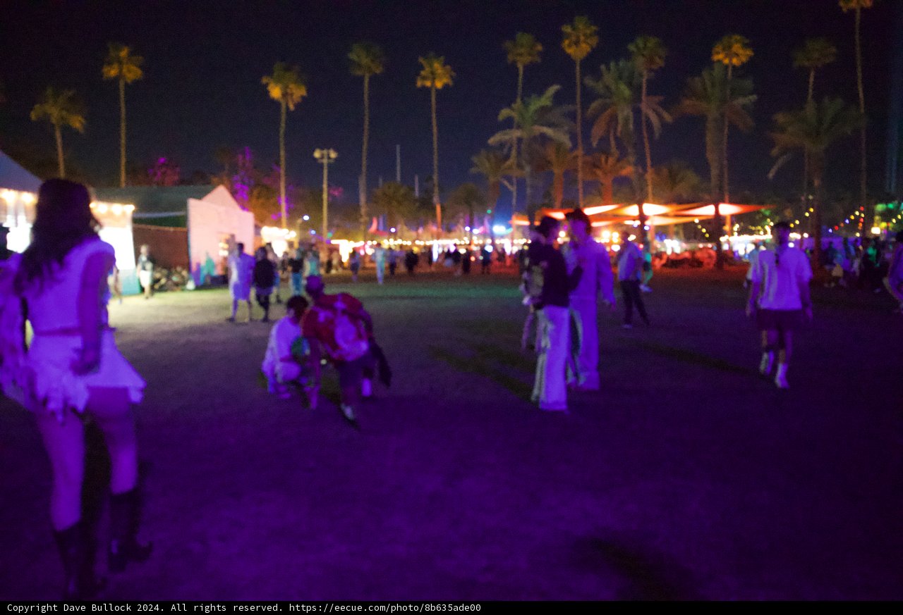 Midnight Palms: Coachella 2024 under the Desert Sky