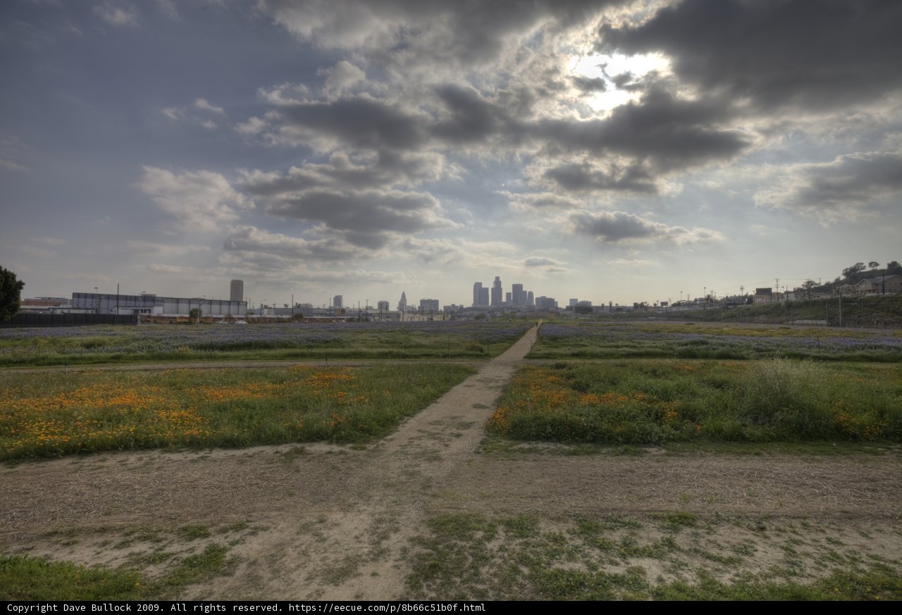 City Scape Serenity