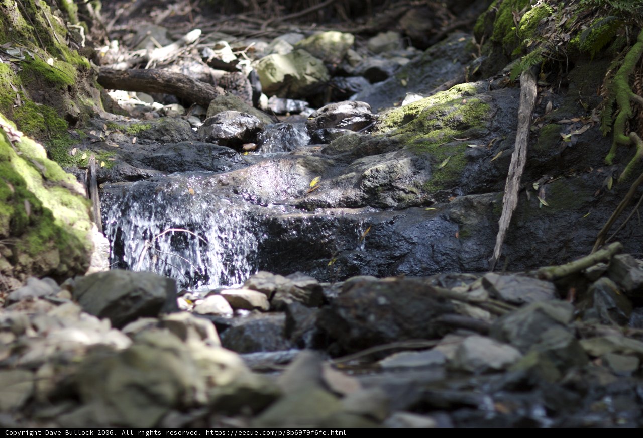 Serene Stream