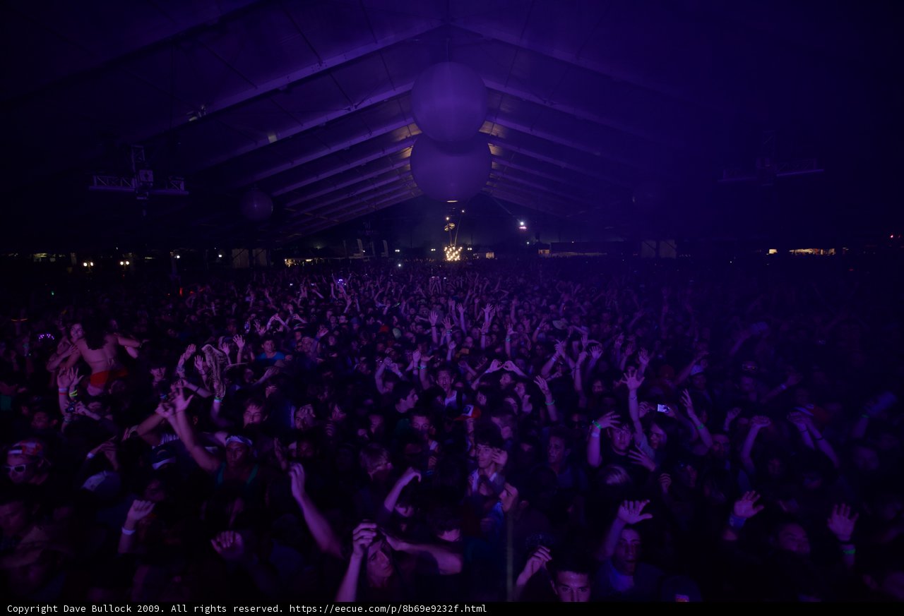 Coachella 2009: Hands Up in the Crowd