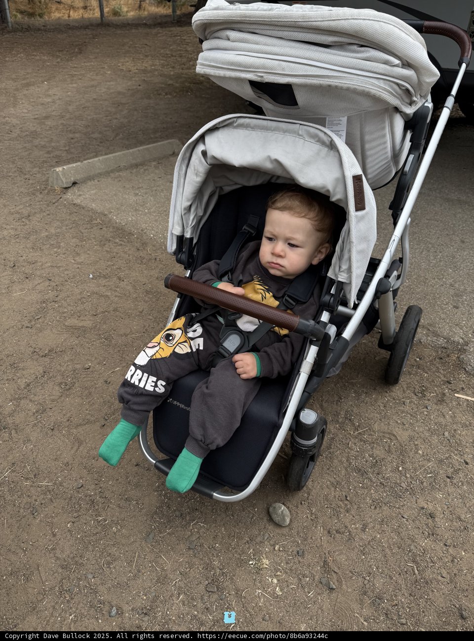 Traveling Tykes