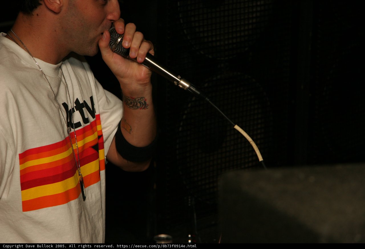 The Singer's Performance