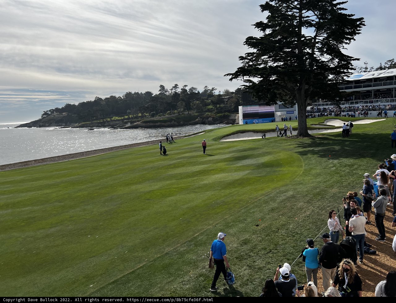 A Thrilling Game of Golf