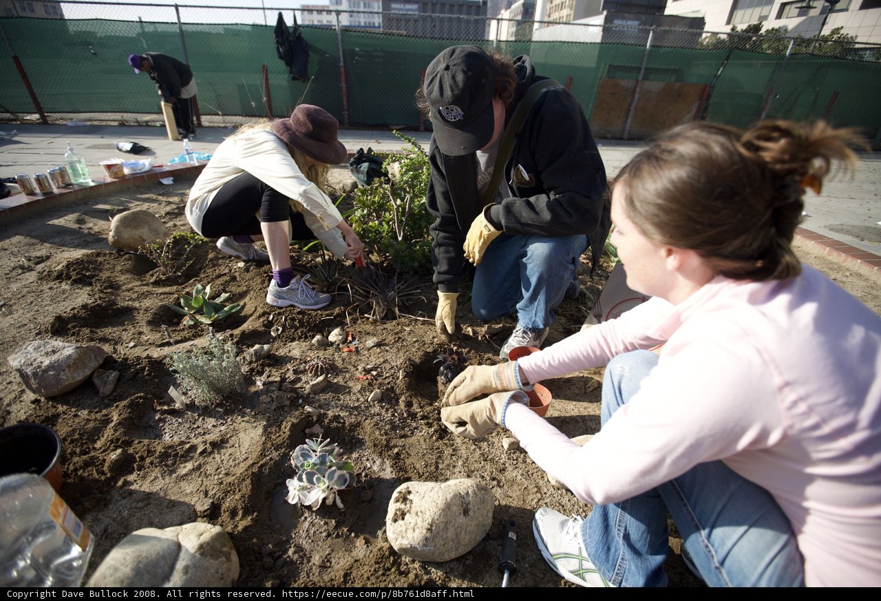 Guerrilla Gardeners at Work