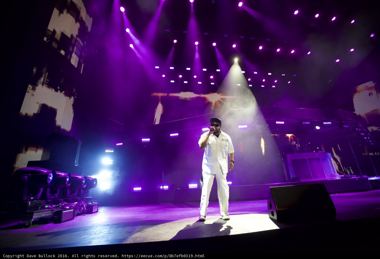 Solo Performance in the Purple Spotlight