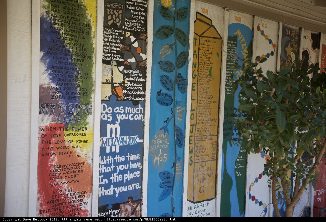 Herbal Posters Galore