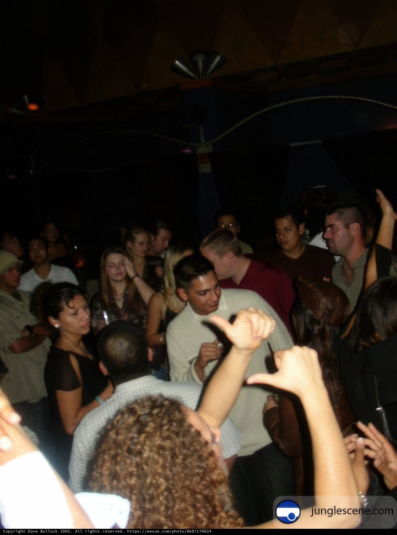 Disco Night at the Club