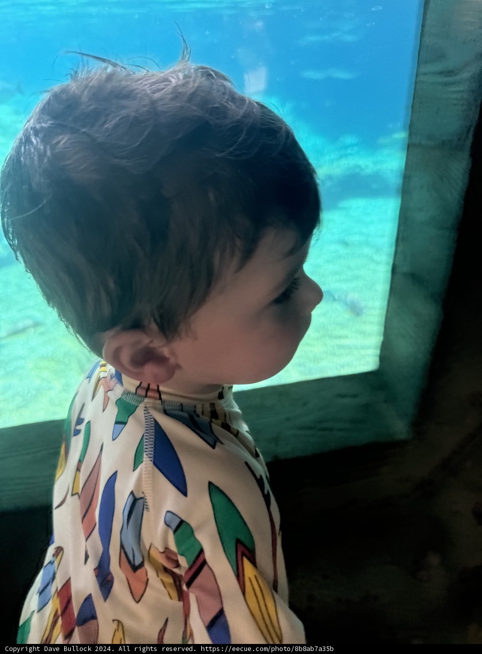 Magical Moments at the Aquarium