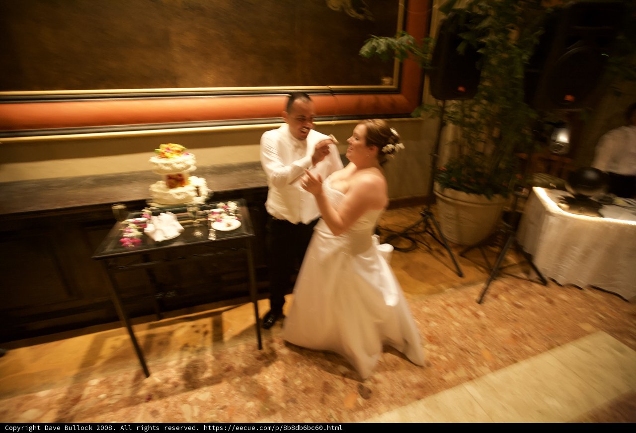 Wedding Cake Cutting