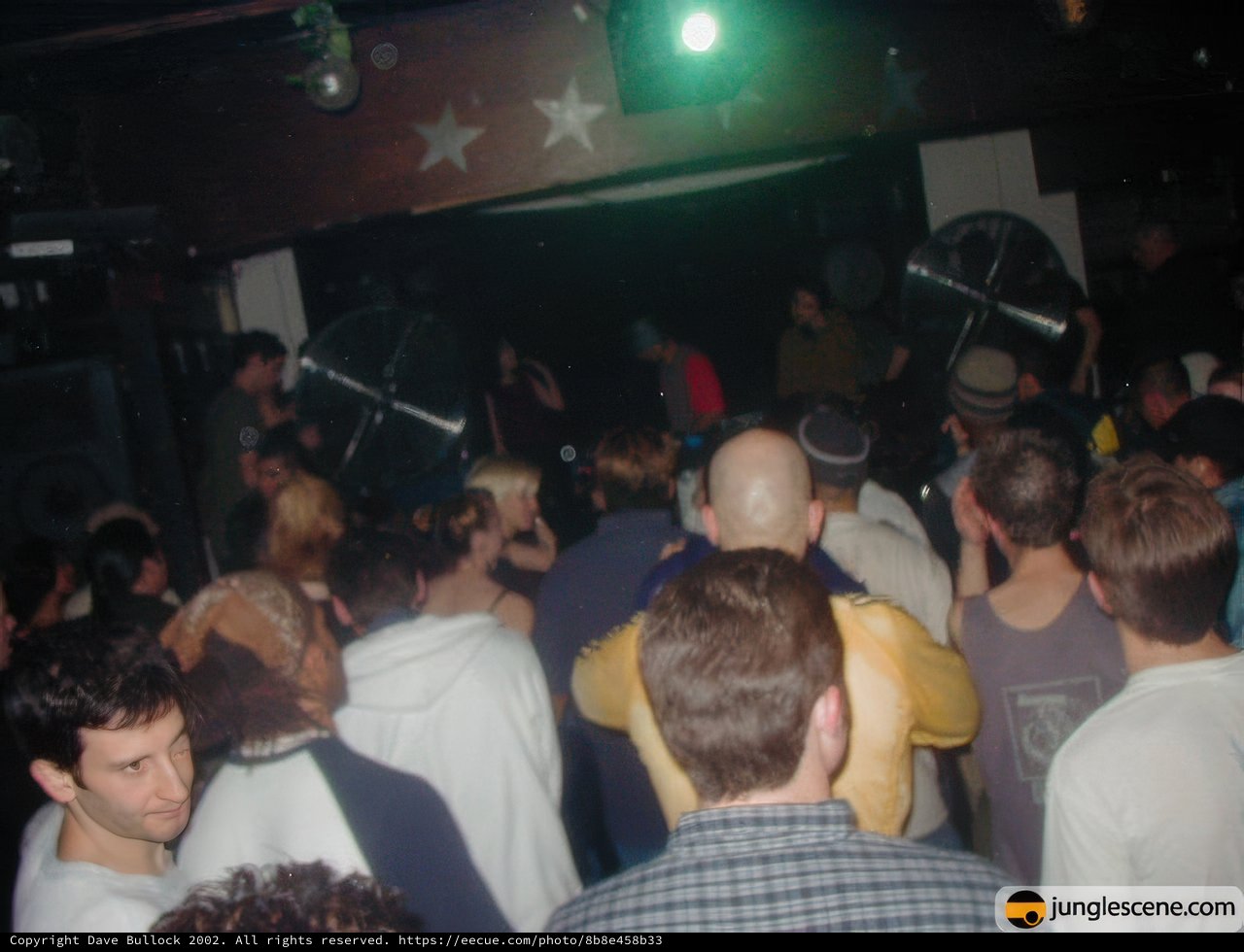Night Club Fun