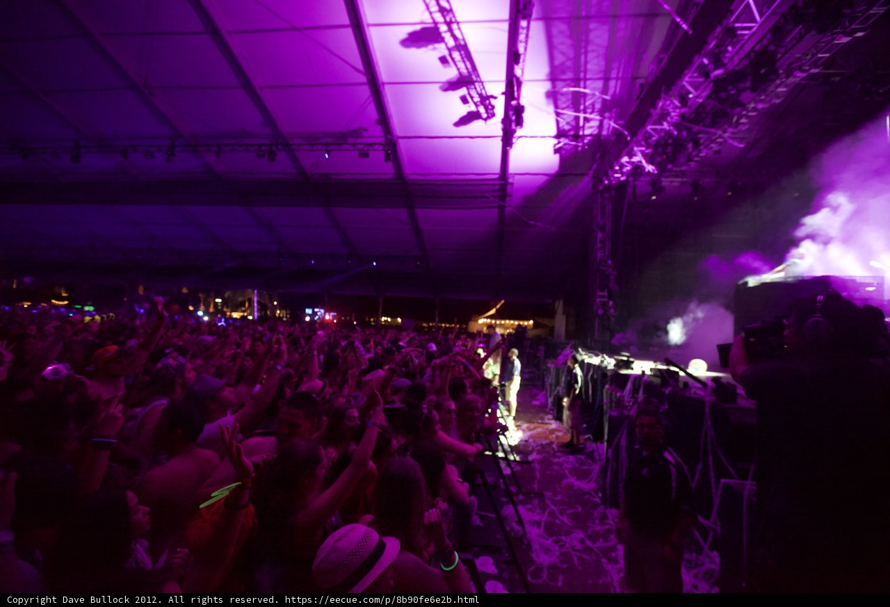 Purple Haze