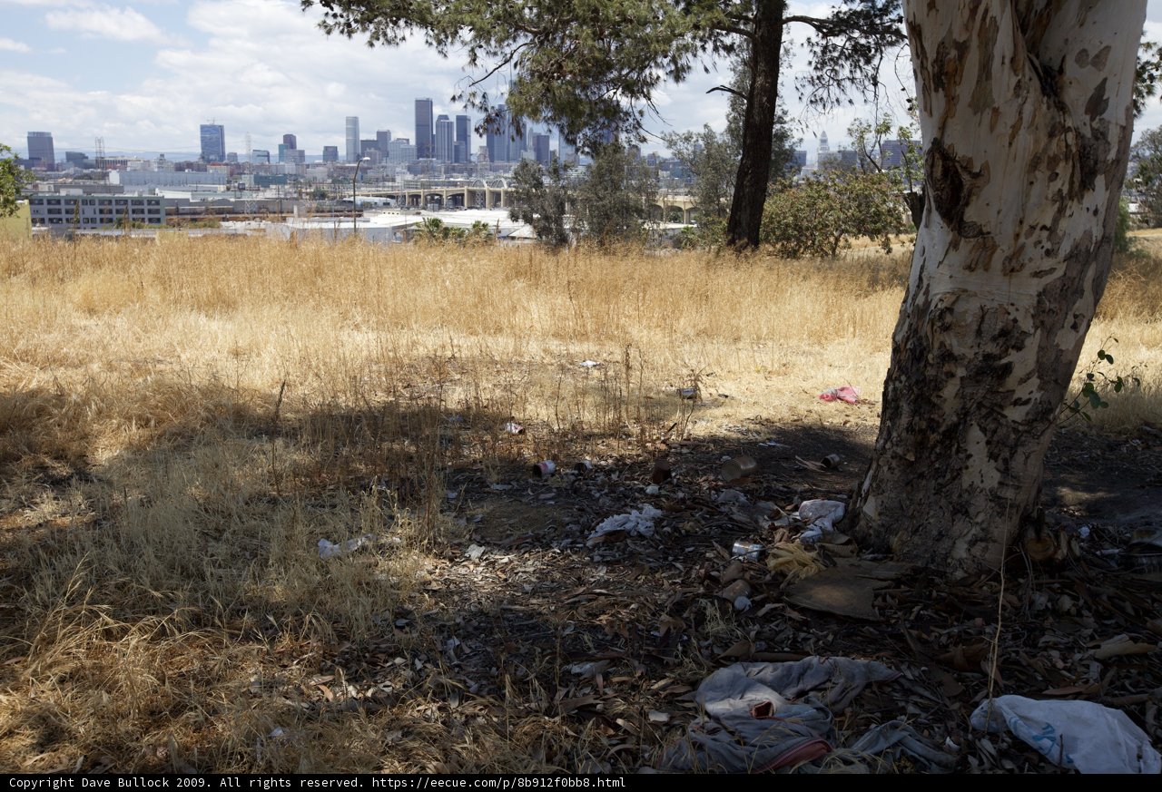 Nature vs. Pollution