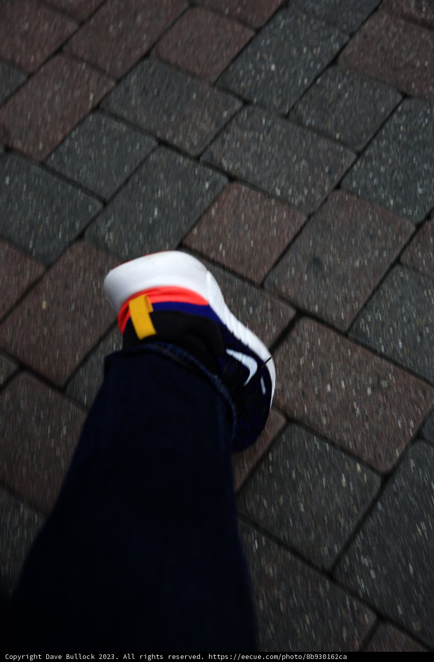 Stylish Sneakers at Disneyland