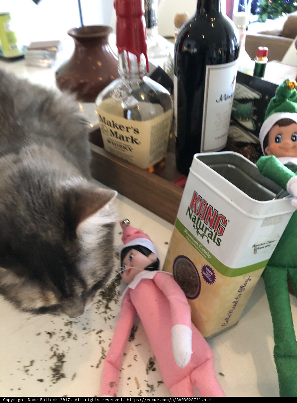 A Feline and Festive Elf Toast to the Holidays