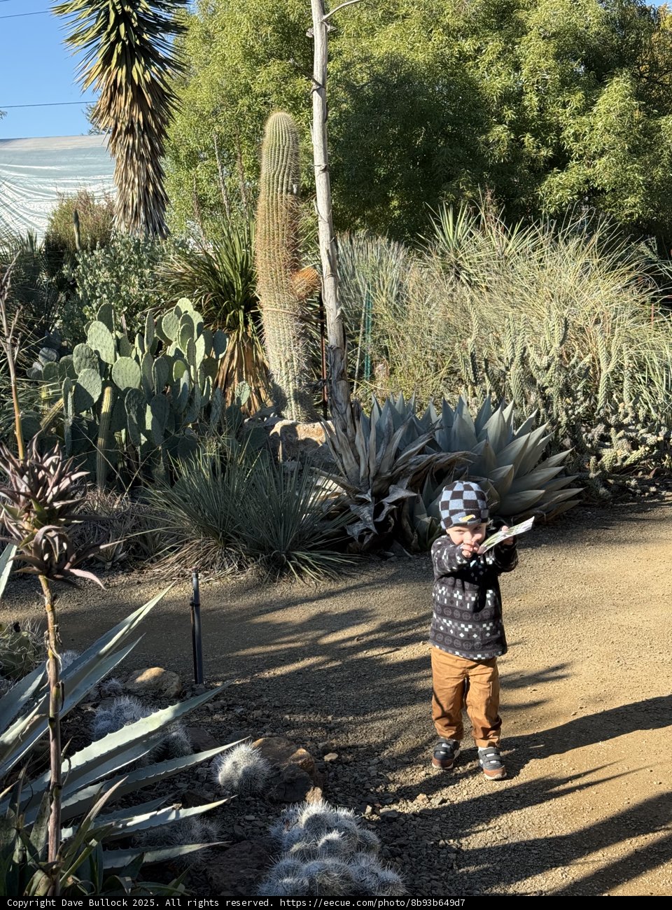 Exploring Nature's Playground