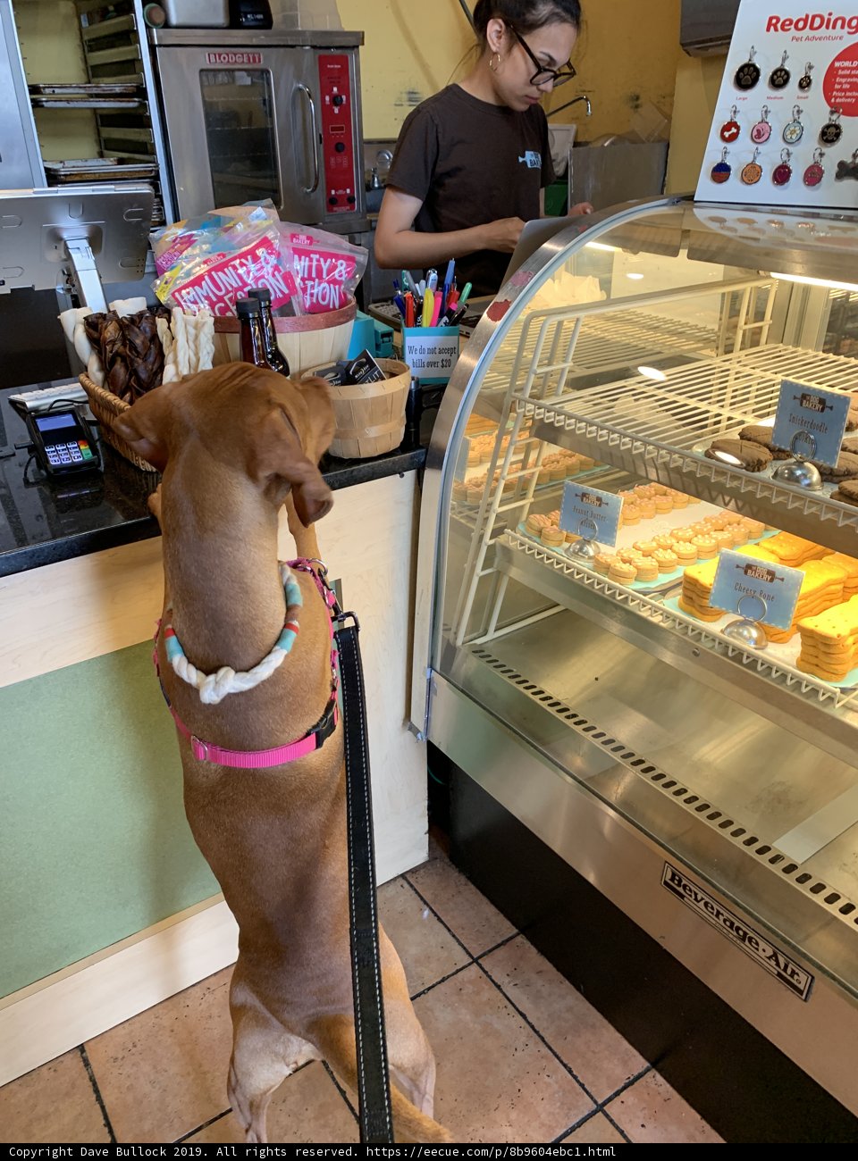 Furry Shopper
