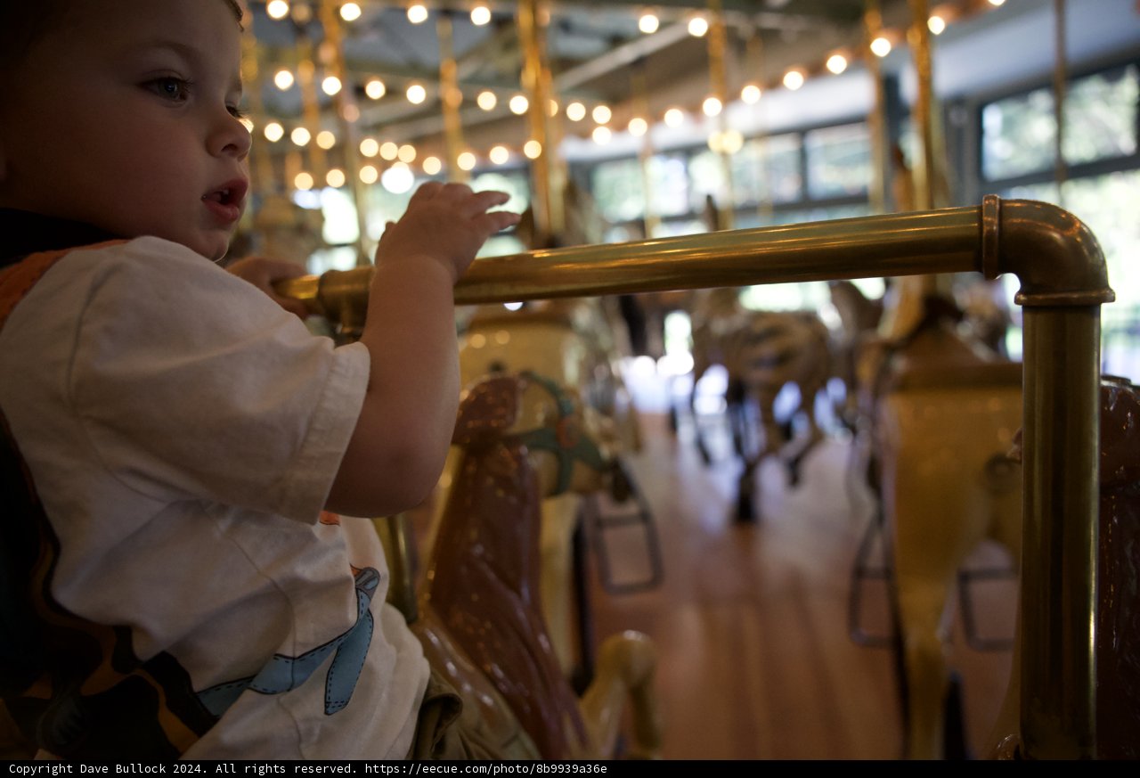 First Carousel Ride: A Moment of Wonder