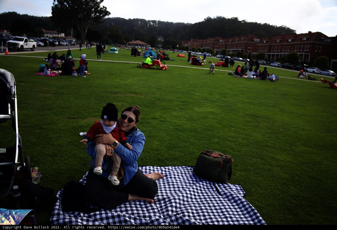 Summer Picnic Bliss