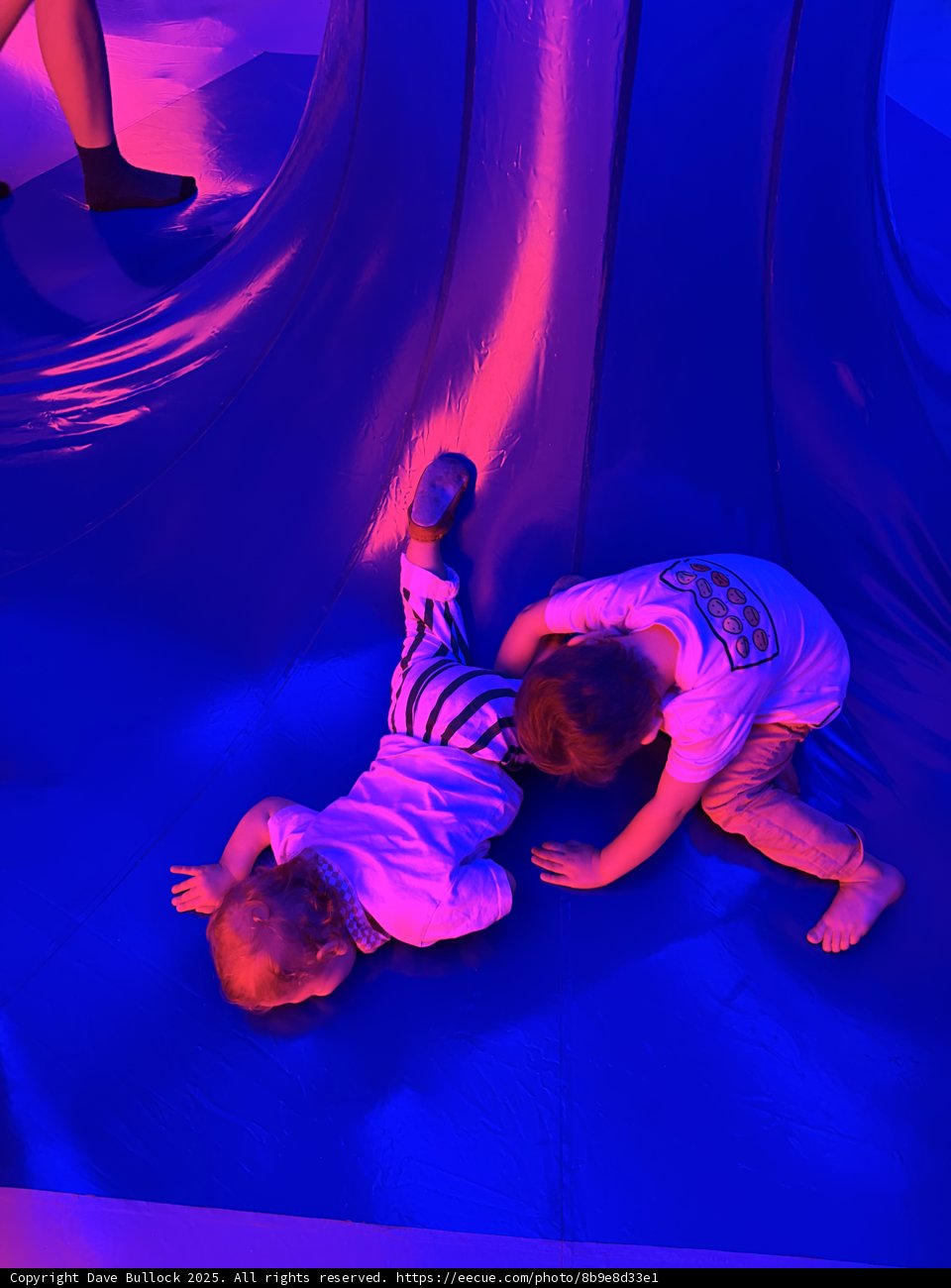 Slide Fun in the Purple Glow