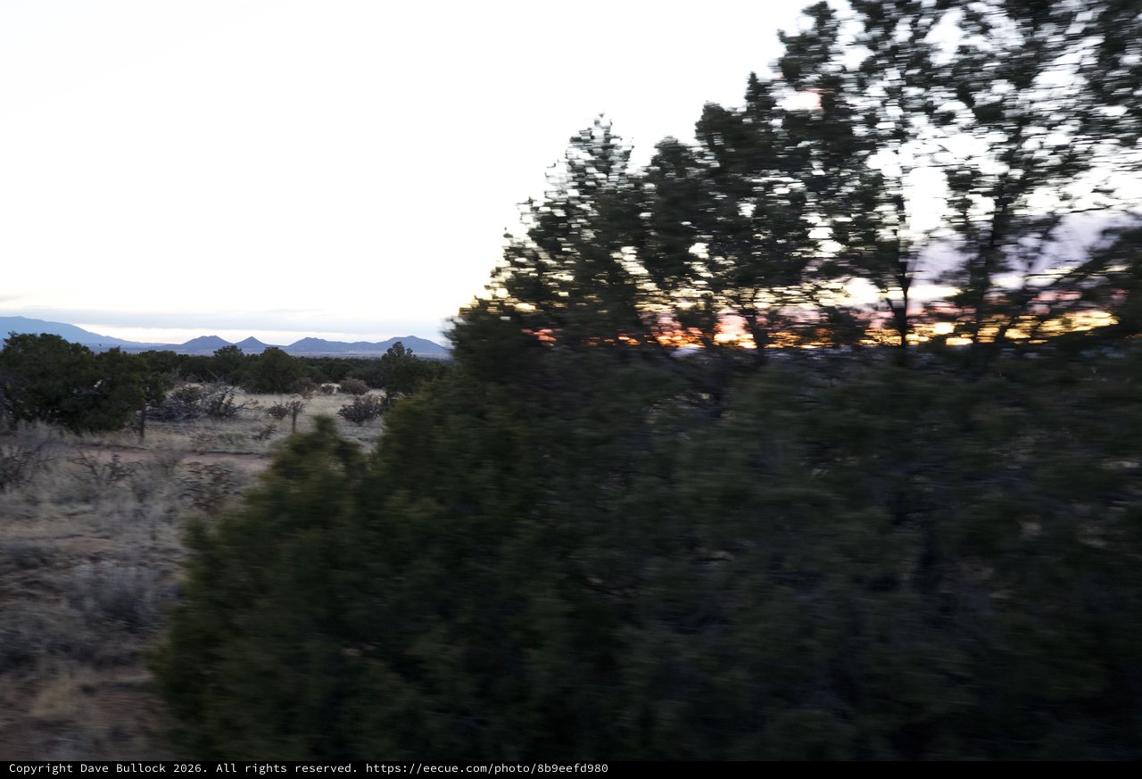 Desert Sunset Through Pine Trees and Mountain Range
