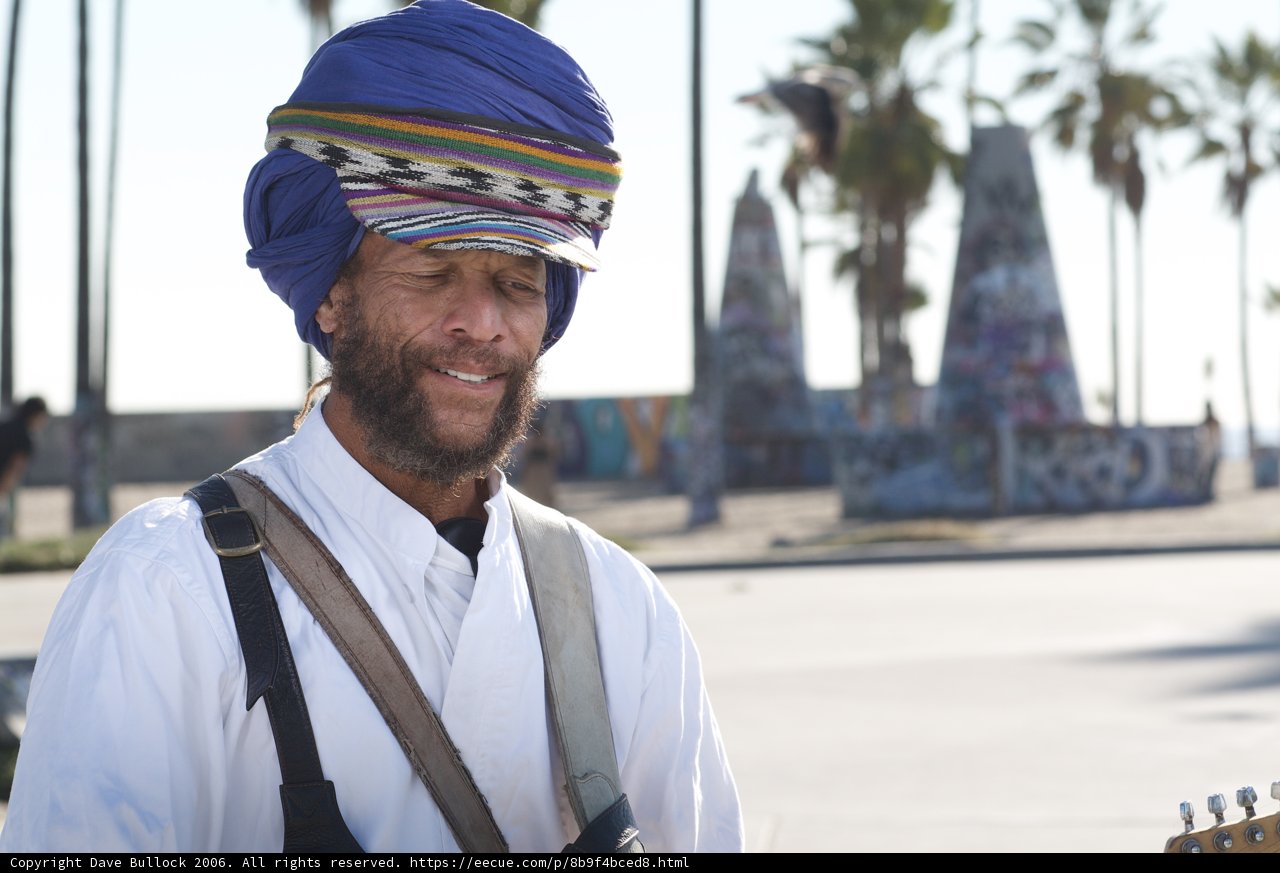 The Turbaned Guitarist