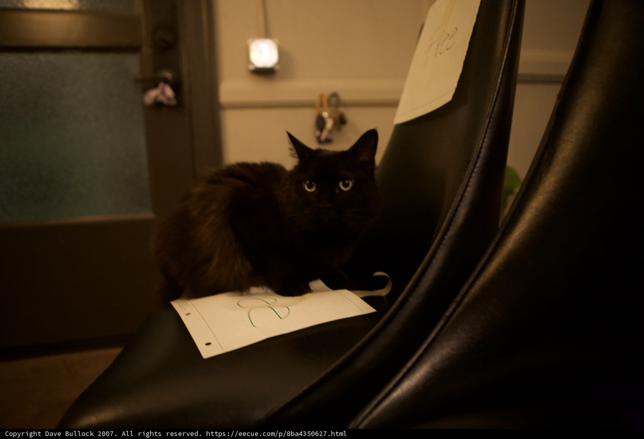 Midnight Companion