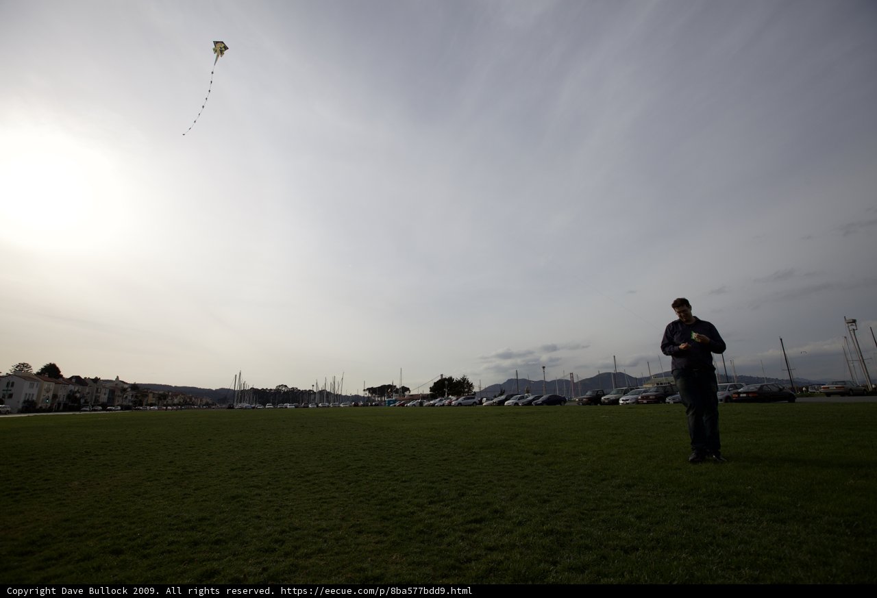 Soaring High