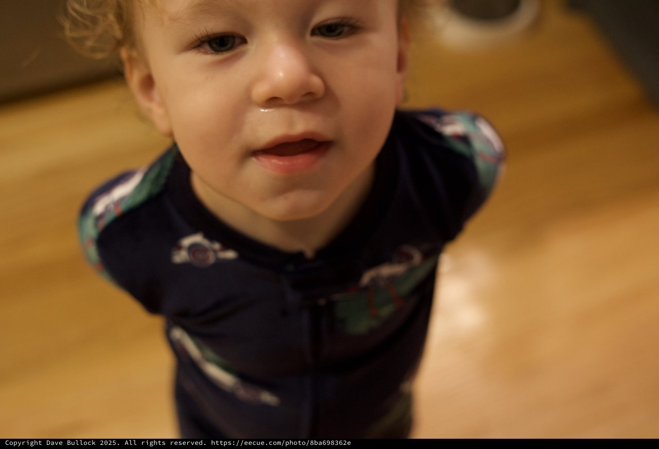 Toddler's Curious Expression on Christmas Morning