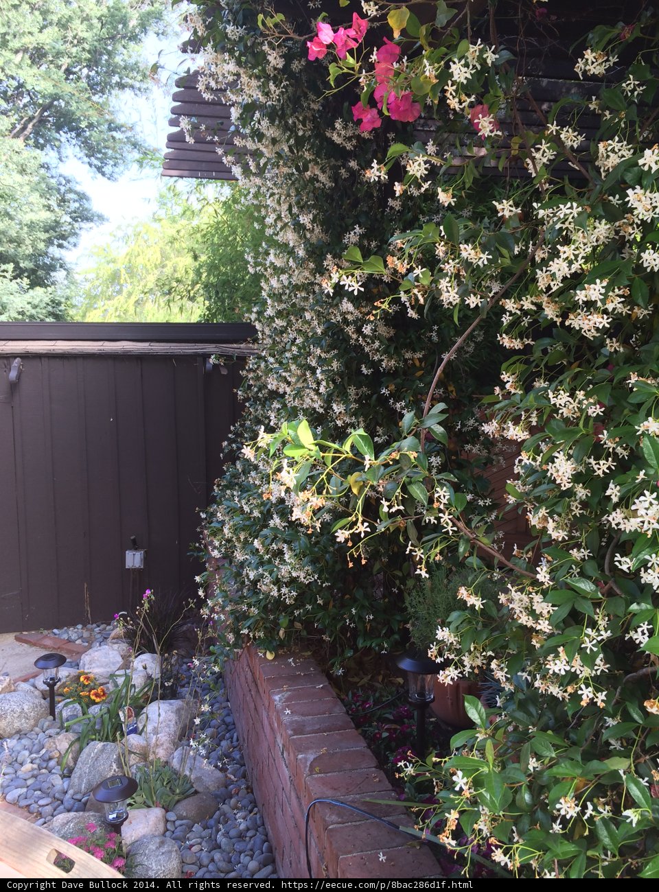 Nature's Retreat: A Garden Arbour
