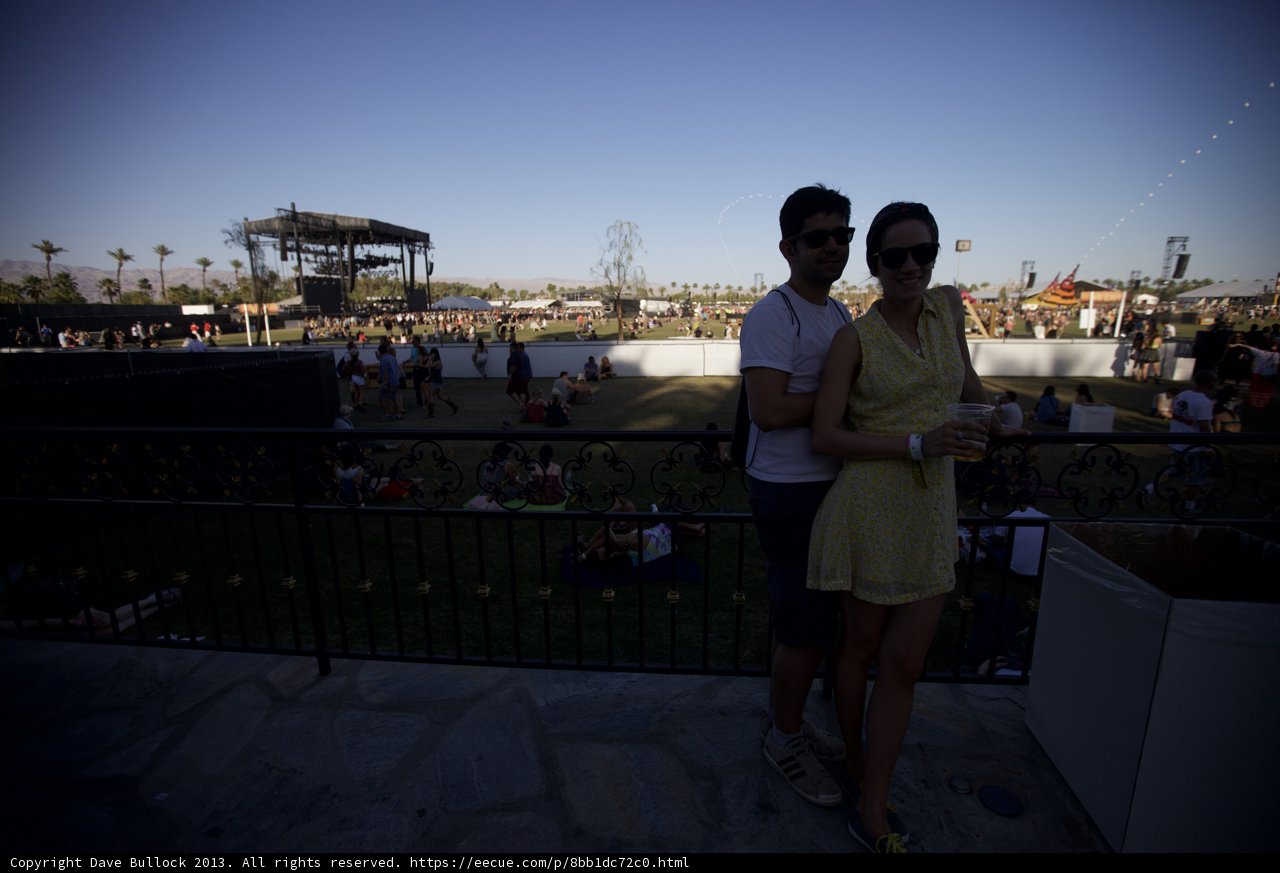 Festival Lovebirds
